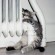 Chegando o frio – como nao perder um rim com a conta de gas Chegando o frio – como nao perder um rim com a conta de gas